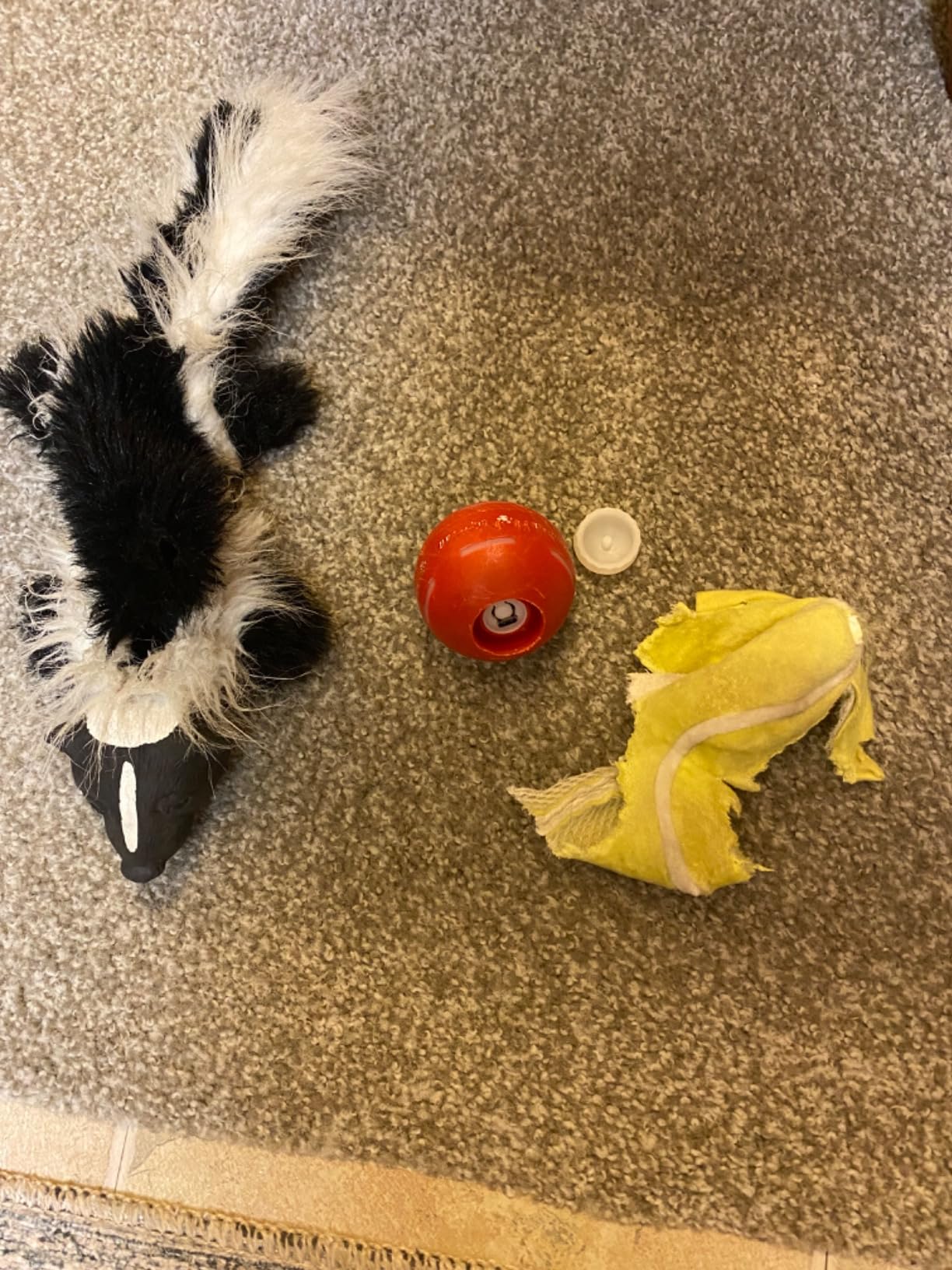 Ida Cordova (Piura, Perú)