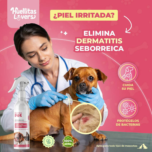 DERMAPETIS 🐶 Protege La Piel De Bacterias, Elimina Sarna y Ácaros 🐕🐈