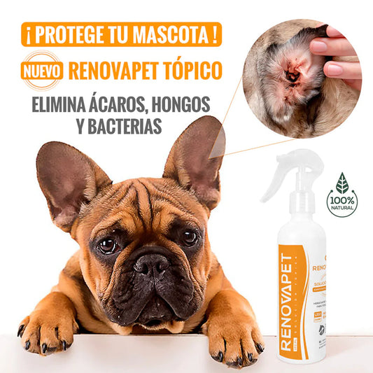 Renovapet tópico 🐶 Protege La Piel De Bacterias, Elimina Sarna y Ácaros🐕🐈